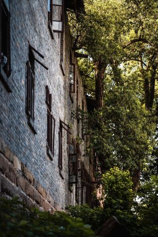 Zhejiang old street citywalk guide