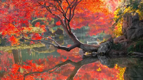 howto|Hangzhou in the coming months is the peak of autumn travel❗️ — traveler post in Shaoxing