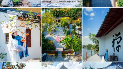 วัดไท่เหอ ฉางซู่ | กำแพงสีเหลืองและลูกพลับสีแดงสร้างภาพที่งดงาม เปี่ยมด้วยเสน่ห์แห่งเซน! — traveler post in ฉางสู่