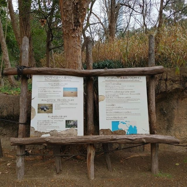 入場料 大人500円！大満足 天王寺動物園