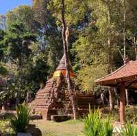 นั่งสมาธิธรรมชาติบำบัด ที่วัดผาลาด