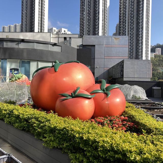 《🍆🫑🎃巨型蔬果主題兒童遊樂場～歷奇公園》