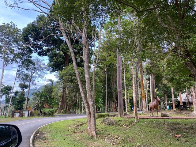 อุทยานแห่งชาติทะเลบัน ที่นี่โอบล้อมด้วยเทือกเขา