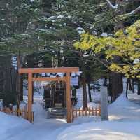 일본 삿포로를 여행 할 때 들려보면 좋을 ❤️홋카이도 신궁 北海道神宮❤️