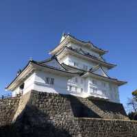 毗鄰東京的中世紀城堡🏯小田原城