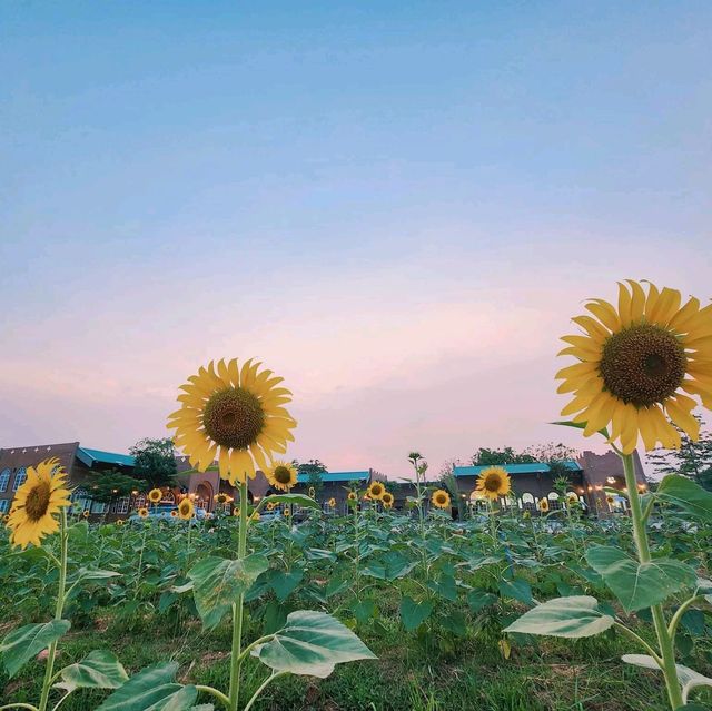 คาเฟ่ไสตล์​ต่างประเทศ