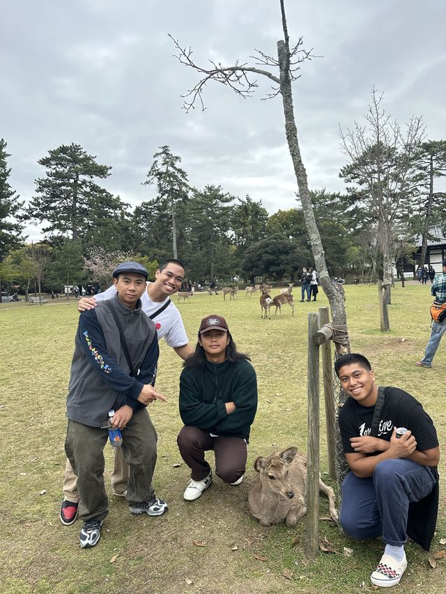 Nara Park 🦌