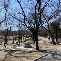 대구 아이와 함께 가볼만한 곳, 달성공원 동물원