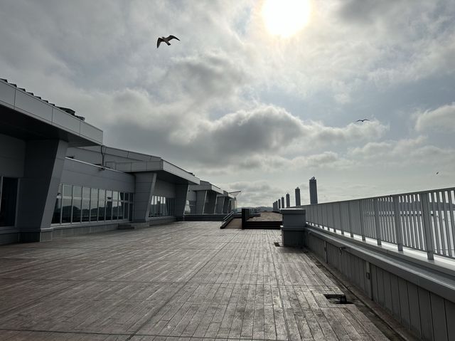 宮城県・塩釜。『塩竈市魚市場』のセリが見学できるミュージアム『おさかなミュージアムseri-miru』
