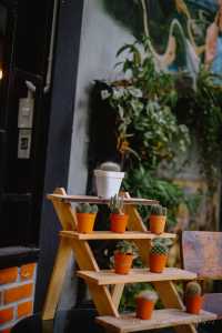 2nd November Cafe&O'ganic farm