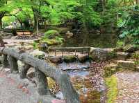 สวนสาธารณะกิฟุ (Gifu Park)🌳🌿