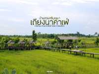 เถียงนาคาเฟ่ บ้านสวนศรีบุญมา อุดรธานี