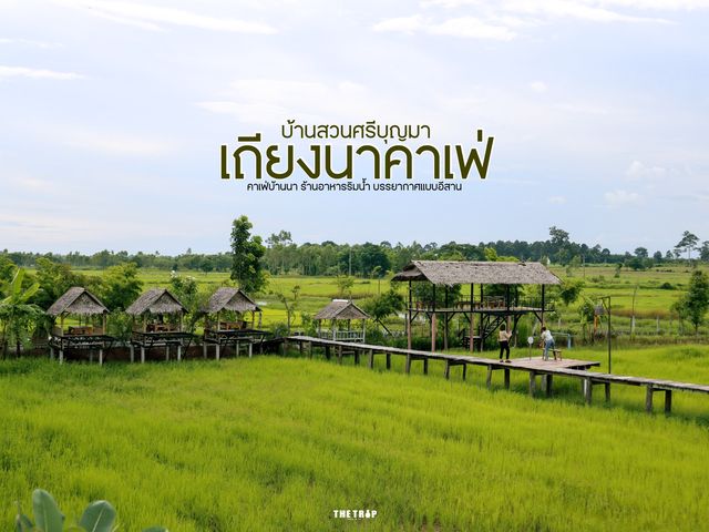 เถียงนาคาเฟ่ บ้านสวนศรีบุญมา อุดรธานี
