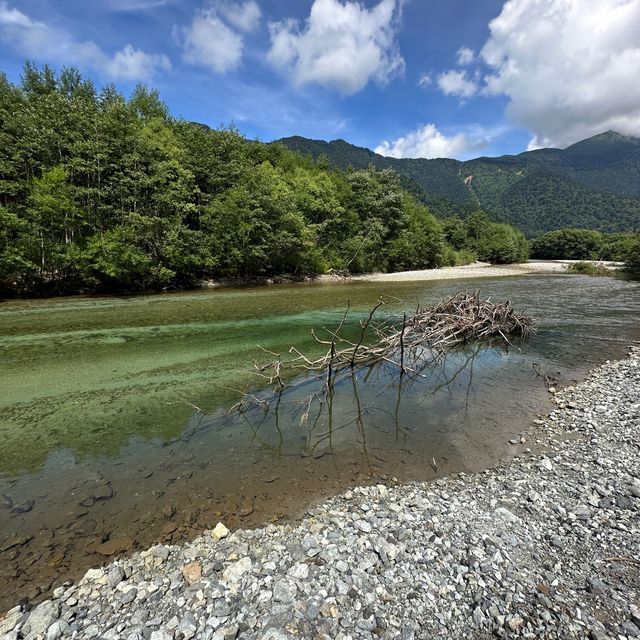 上高地 ｜大正池藍色的天堂
