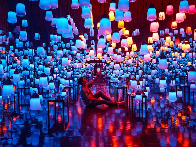 teamLab : A Forest Where Gods Live …งานดิจิตอลอาร์