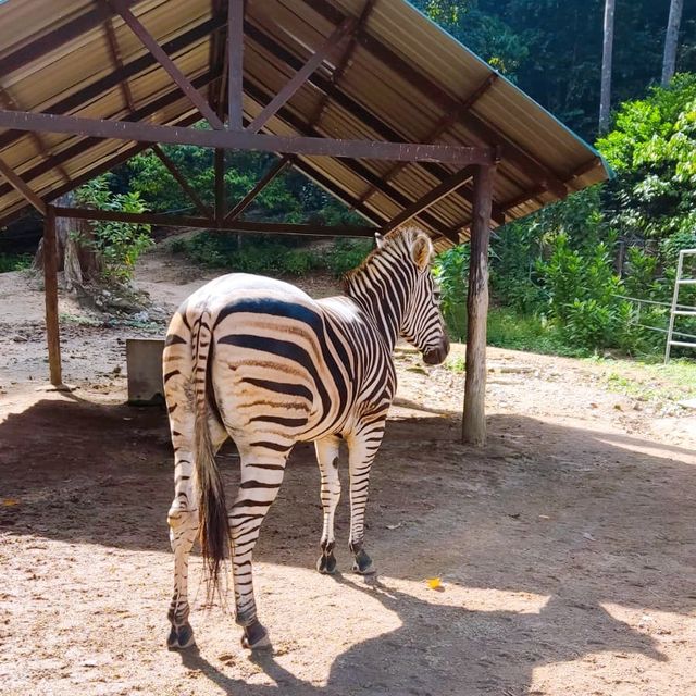 Exploring Dinasaur Park in Kuantan