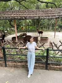 深圳親子遊 逛超大動物園