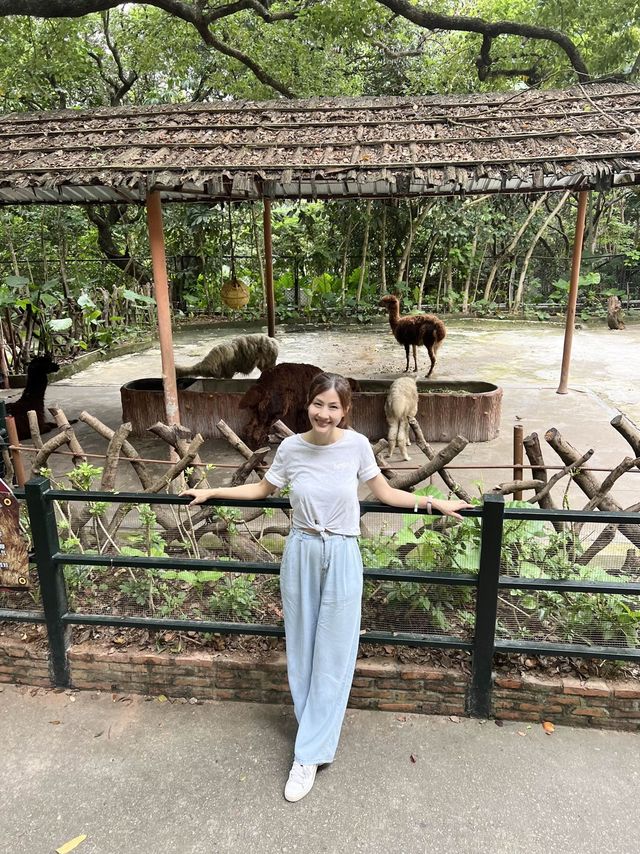 深圳親子遊 逛超大動物園