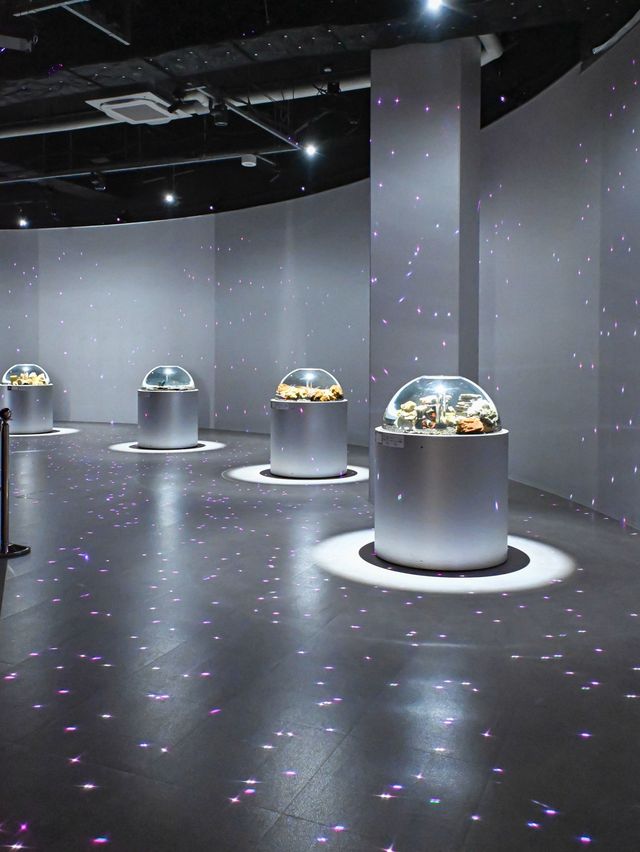 【神戸】絶対行きたい！アート×アクアリウムの美しすぎる水族館🐟