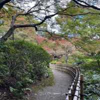 Park around Meguro Station