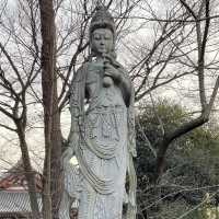 Iconic Temple in Tokyo City 
