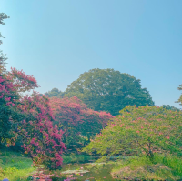 예쁜 계절 여름, 담양 여행코스 추천🌸💖
