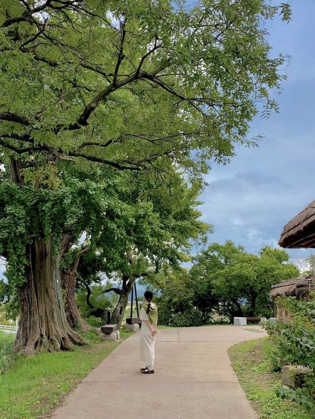 모든곳이 포토존이었던 양동마을🌿📸