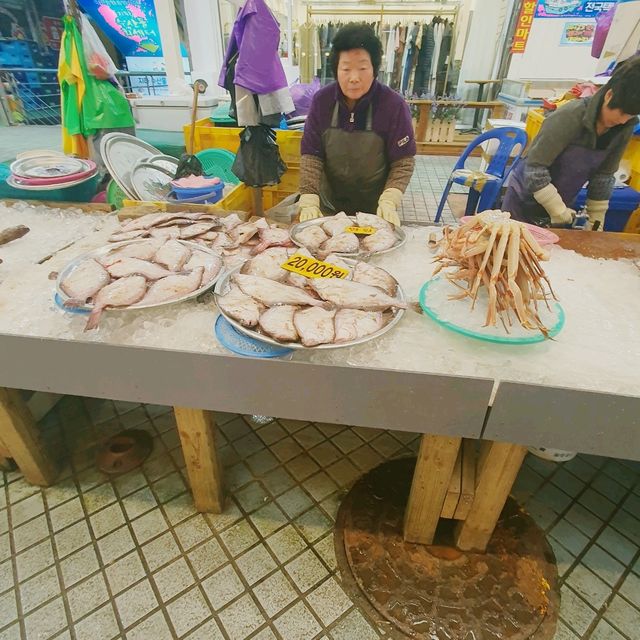 【韓国地方旅】束草観光水産市場で試食し放題♪