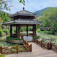 Yalong Bay Rainforest Paradise - take the bus up, but walk down to lose the crowds and enjoy the nature!