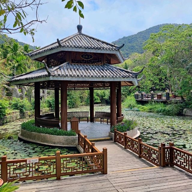 Yalong Bay Rainforest Paradise - take the bus up, but walk down to lose the crowds and enjoy the nature!