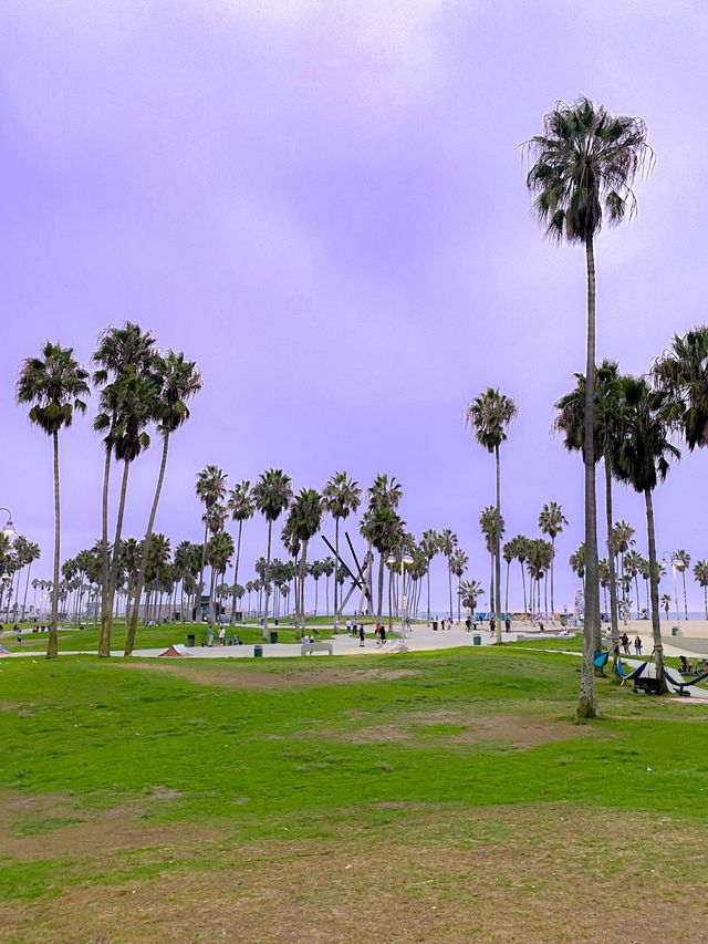 LA에서 힙한 사람들 집합소인 베니스비치🌴