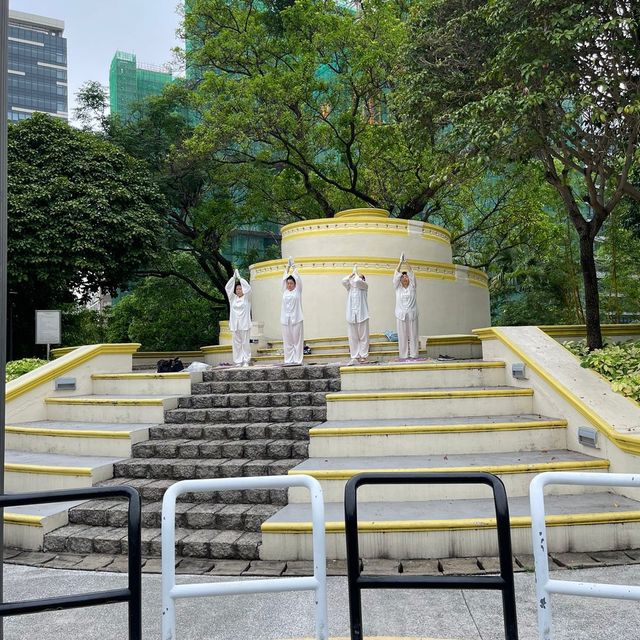 Montanha Russa Garden 