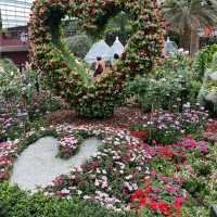 Romance in Garden by the Bay