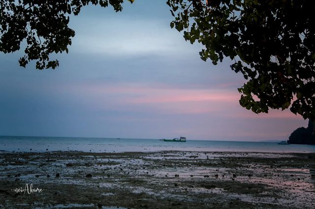 ✅Tew Lay Bar บาร์สุดชิล @ไร่เลย์ Krabi 