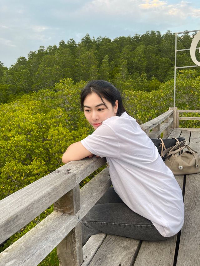 ไปชมพระอาทิตย์ตกที่ทุ่งโปรงทองกัน🌥️