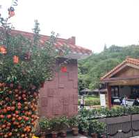 深圳景點✨ 人山人海的鳳凰山森林公園