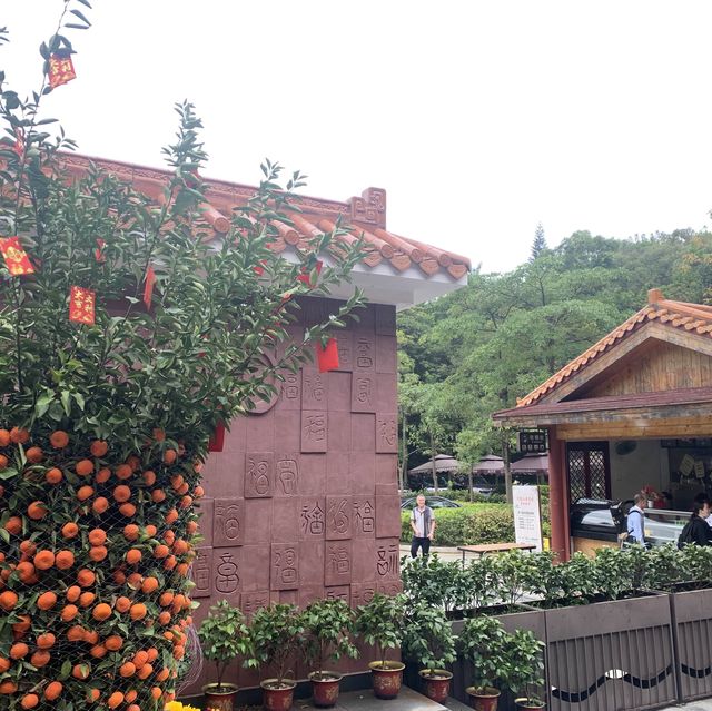 深圳景點✨ 人山人海的鳳凰山森林公園