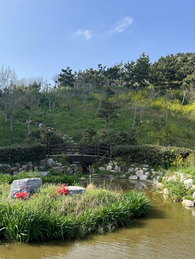 แนะนำพิกัดที่เที่ยวปูซาน Oryukdo Skywalk 🌼🌿🌊