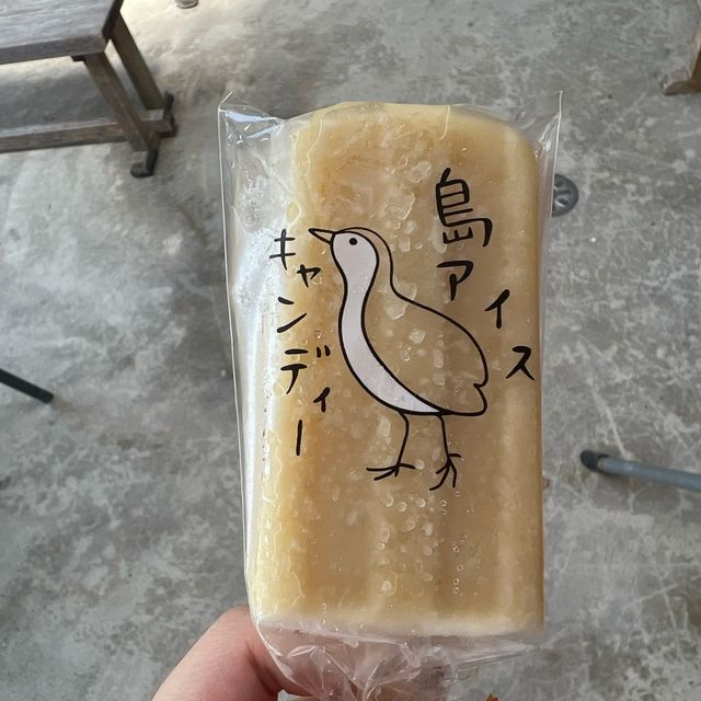 石垣島☺︎ 竹富島☺︎