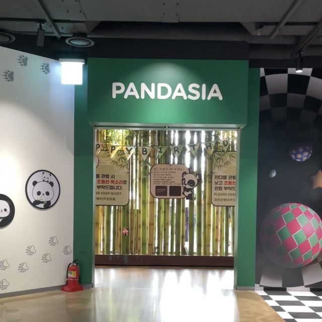 앞으로 에버랜드 푸바오 가족 5분만 볼 수 있다🐼