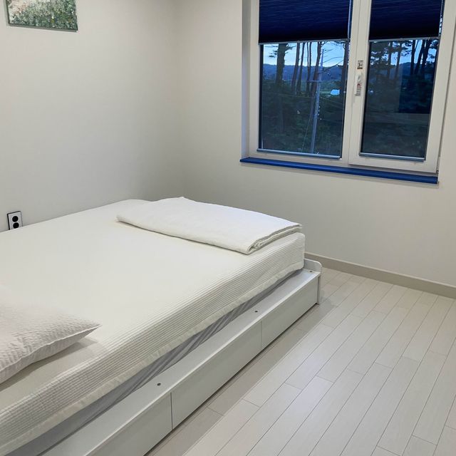강릉 가족여행 숙소 추천 펜션보타닉🏡