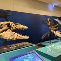 台灣博物館 古生物館 超大恐龍化石 互動導覽 好玩好充實