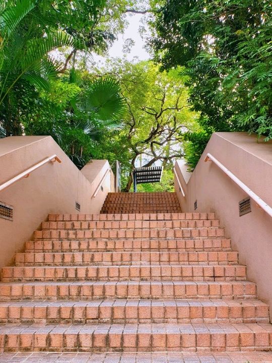침사추이역 도심속 공원🌳