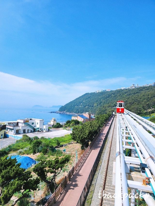 วันที่ 3 Sky Capsule และเมือง Cheongsapo 🚃