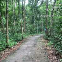 ផ្លូវកង់សម្រាប់នៅអង្គរវត្តនិងប្រាសាទនាគព័ន្ធ