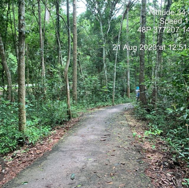 ផ្លូវកង់សម្រាប់នៅអង្គរវត្តនិងប្រាសាទនាគព័ន្ធ