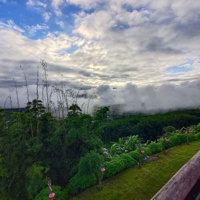 📍เที่ยวทะเลหมอกหยุนไหลในหน้าฝนกัน