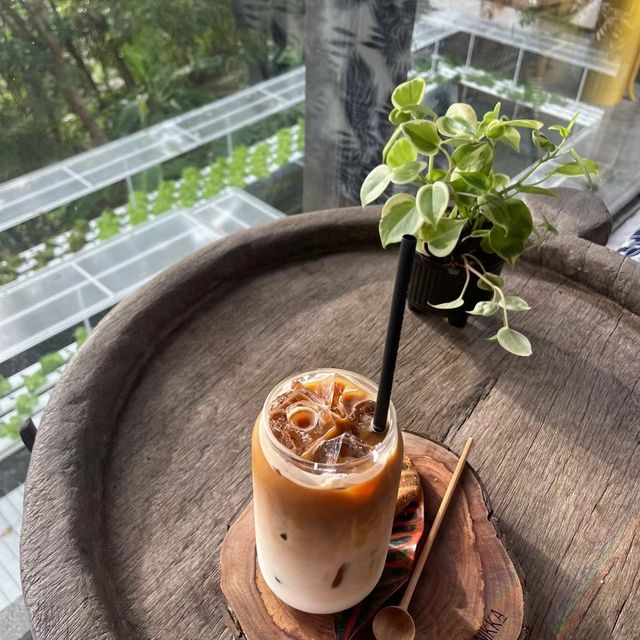 🌴🌊 蘇梅島康萊德酒店～近在咫尺的海景天堂 🏖️🍽️
