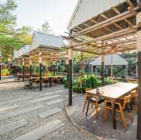 Rain Forest Cafe Pattaya 