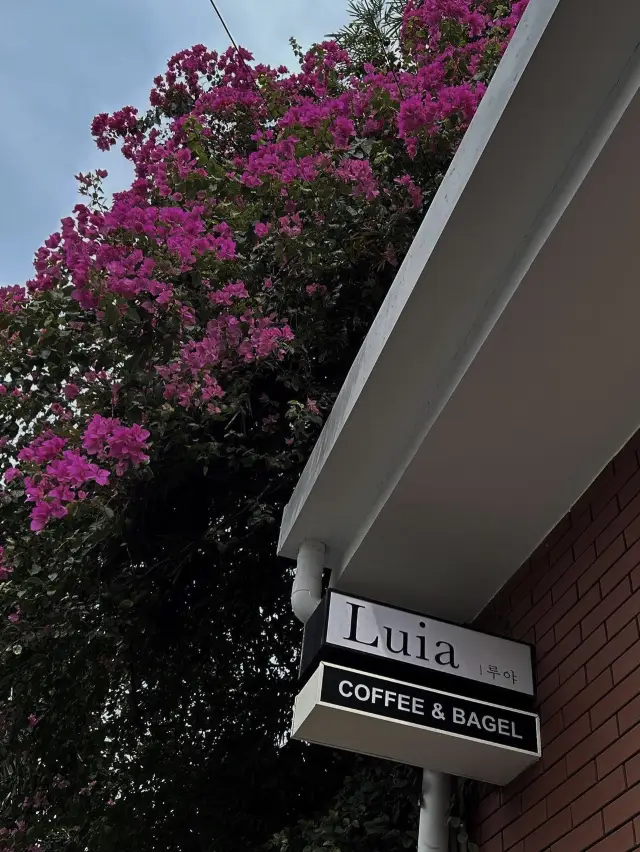 A KOREAN STYLE COFFEE SHOP IN SAIGON 🇻🇳